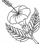 Free Printable Hibiscus Coloring Pages For Kids | Coloring Pages   Free Printable Hibiscus Coloring Pages