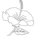 Free Printable Hibiscus Coloring Pages For Kids | Flowers & Other   Free Printable Hibiscus Coloring Pages