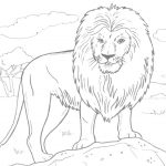Free Printable Lion Coloring Pages For Kids   Free Printable Picture Of A Lion