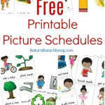 Free Printable Picture Schedule Cards   Visual Schedule Printables   Free Printable Daily Routine Picture Cards
