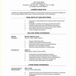 Free Printable Professional Resume Builder   Resume : Resume   Free Printable Resume Builder