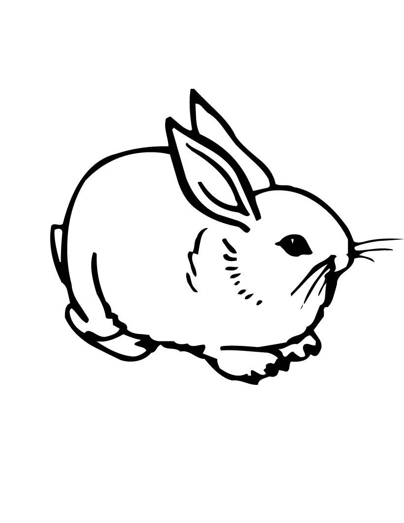 Free Printable Rabbit Coloring Pages For Kids - Free Printable Bunny Pictures