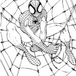 Free Printable Spiderman Coloring Pages For Kids   Free Printable Spiderman Coloring Pages