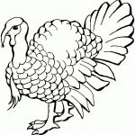 Free Printable Turkey Coloring Pages For Kids   Free Printable Pictures Of Turkeys To Color