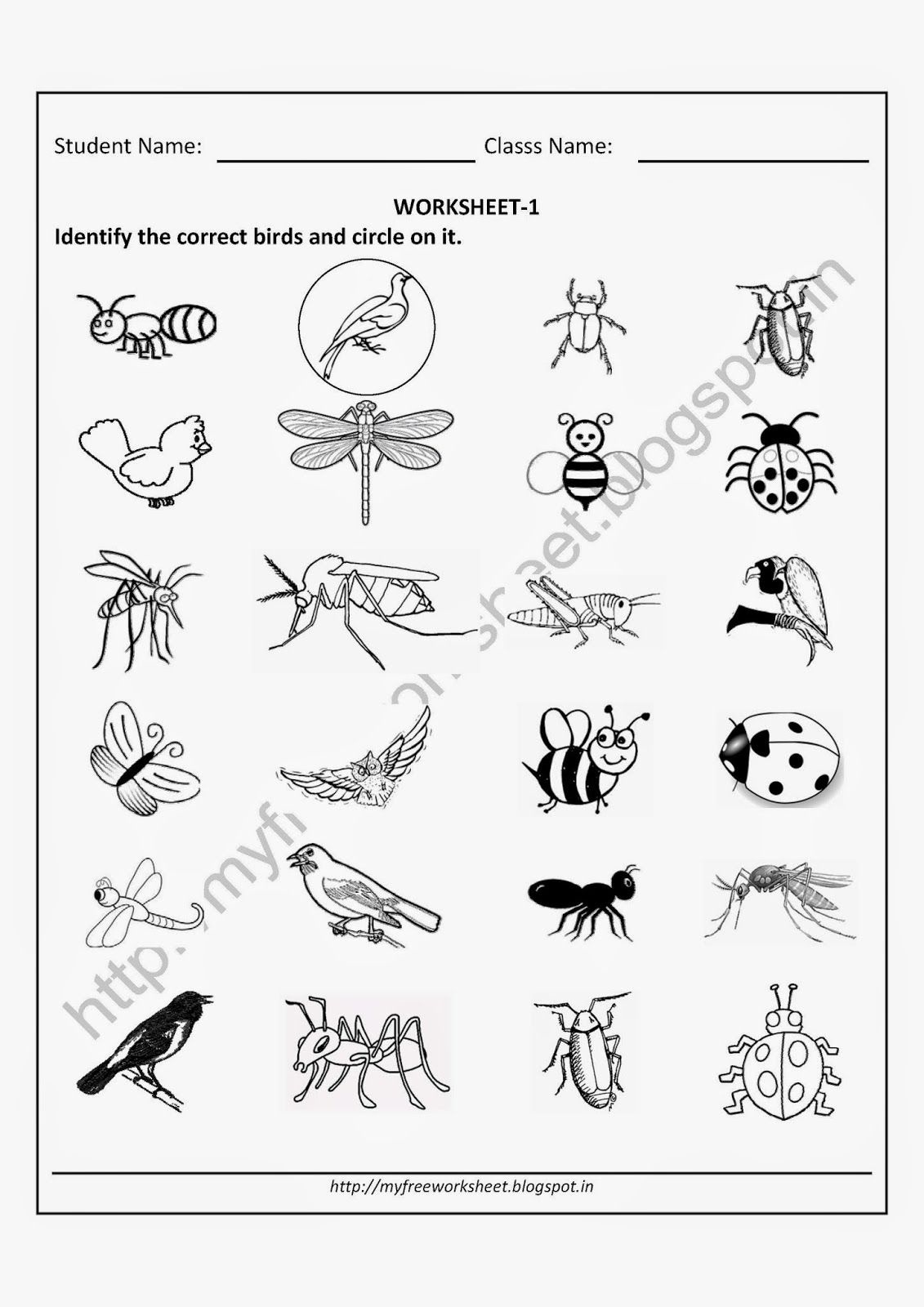 Free Printable Worksheets For Nursery, Kindergarten Senior Kg - Free Printable Worksheets For Kg1