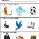 Free Printables For Receptive Language Skills! Available At   Free Printable Autism Worksheets