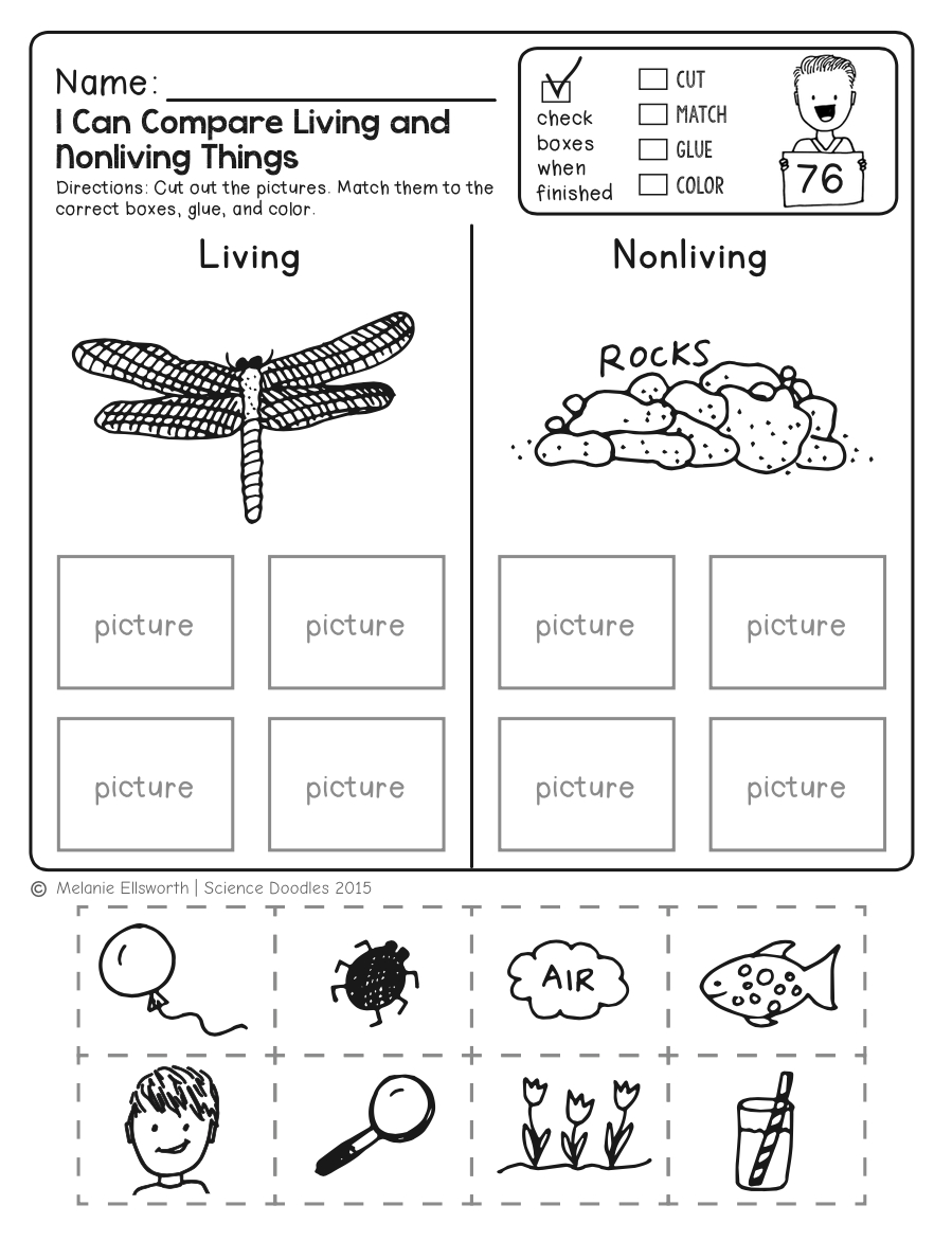 Freebie! No-Prep Kindergarten Science Doodle Printables | T E A C H - Free Printable Worksheets For Kids Science