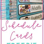 Freebie Schedule Cards | Classroom (When I Go Back :) | Preschool   Free Printable Schedule Cards