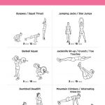 Full Body Workout For Beginners Video Collection | Fitness And   Free Printable Gym Workout Plans