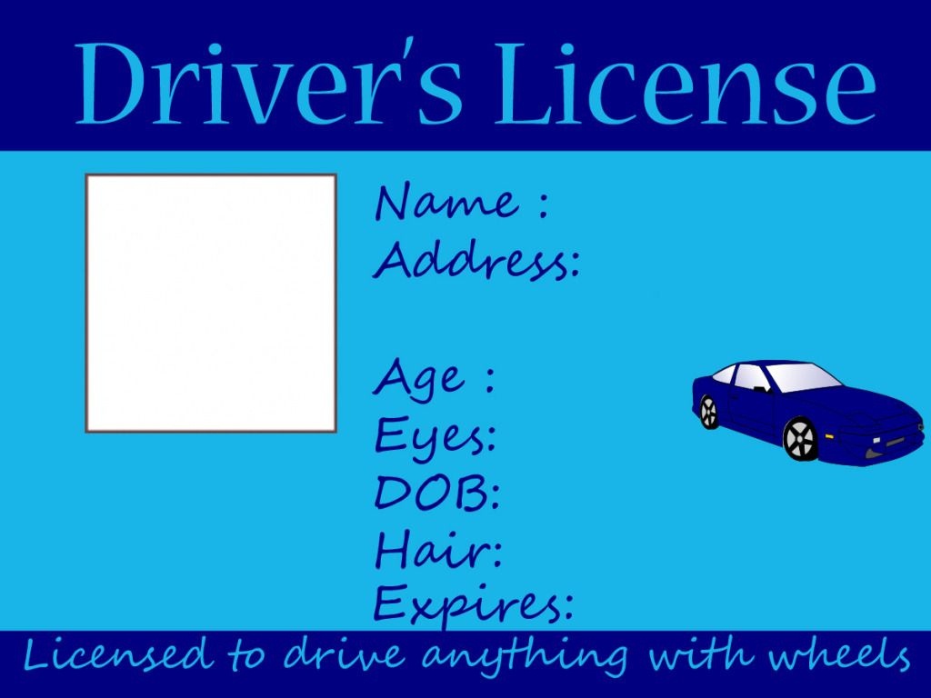 fake drivers license template india