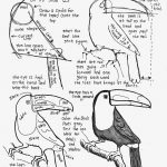 How To Draw A Toucan Bird, Free Printable Worksheet (How To Draw   Free Printable Pencil Drawings