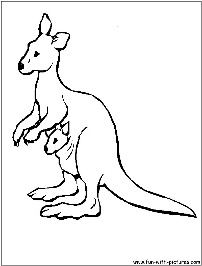 Kangaroo Coloring Page. Jumping Kangaroo Coloring Page Free - Free Printable Pictures Of Australian Animals