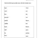 Kidz Worksheets: Gender Nouns Worksheet1   Free Printable Grammar Worksheets For 2Nd Grade