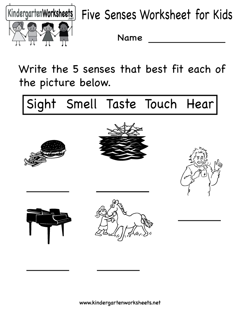 Kindergarten Five Senses Worksheet For Kids Printable | Worksheets - Free Printable Worksheets Kindergarten Five Senses