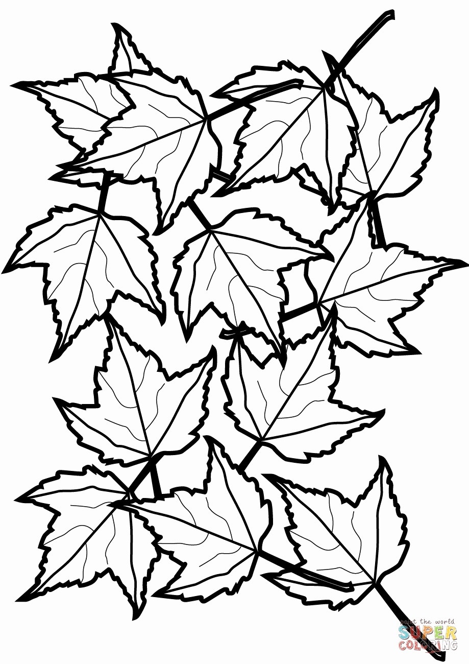 Leaf Coloring Page Cooloring Book Fall Leaves Coloring Sheet Free - Free Printable Fall Leaves Coloring Pages