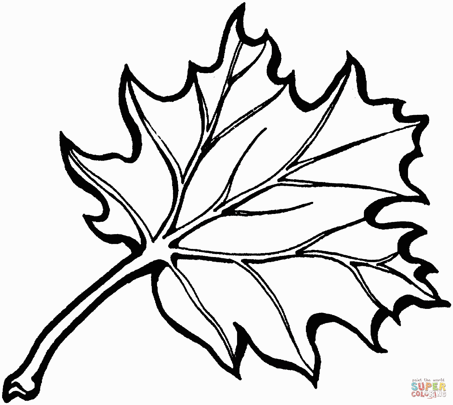 Leaf Coloring Pages Eastern Black Oak Leaf Coloring Page Free - Free Printable Leaf Coloring Pages
