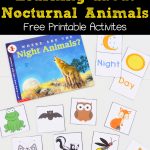 Learning About Nocturnal Animals Free Printable Activities     Free Printable Animal Classification Cards