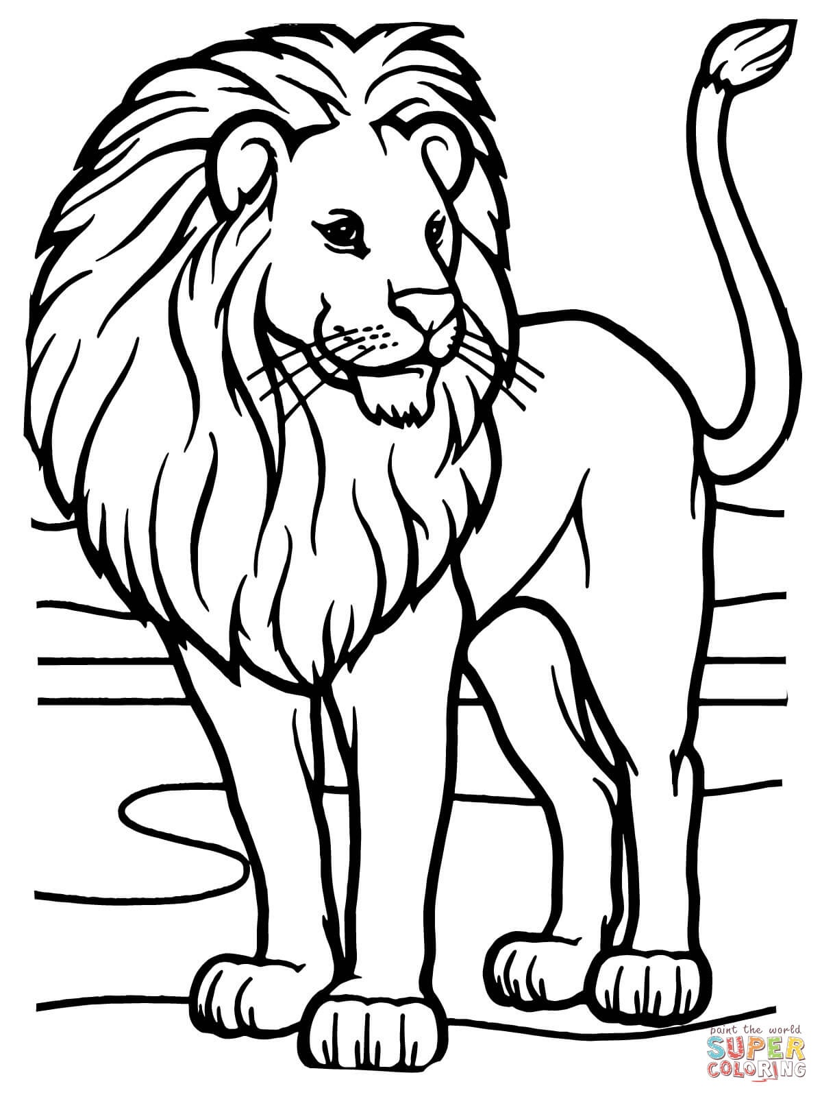 Male African Lion Coloring Page | Free Printable Coloring Pages - Free Printable Picture Of A Lion