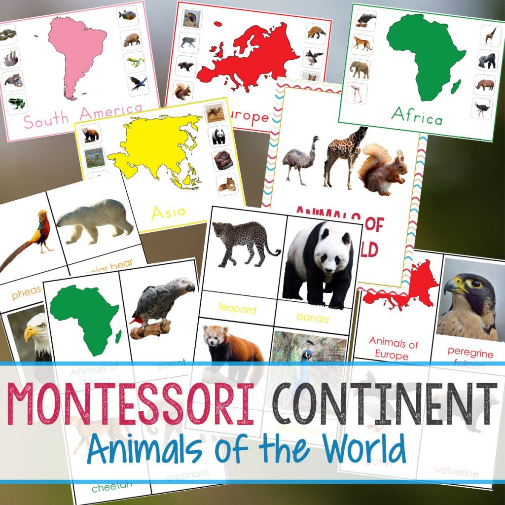 montessori-animals-and-continents-printables-and-activities-free