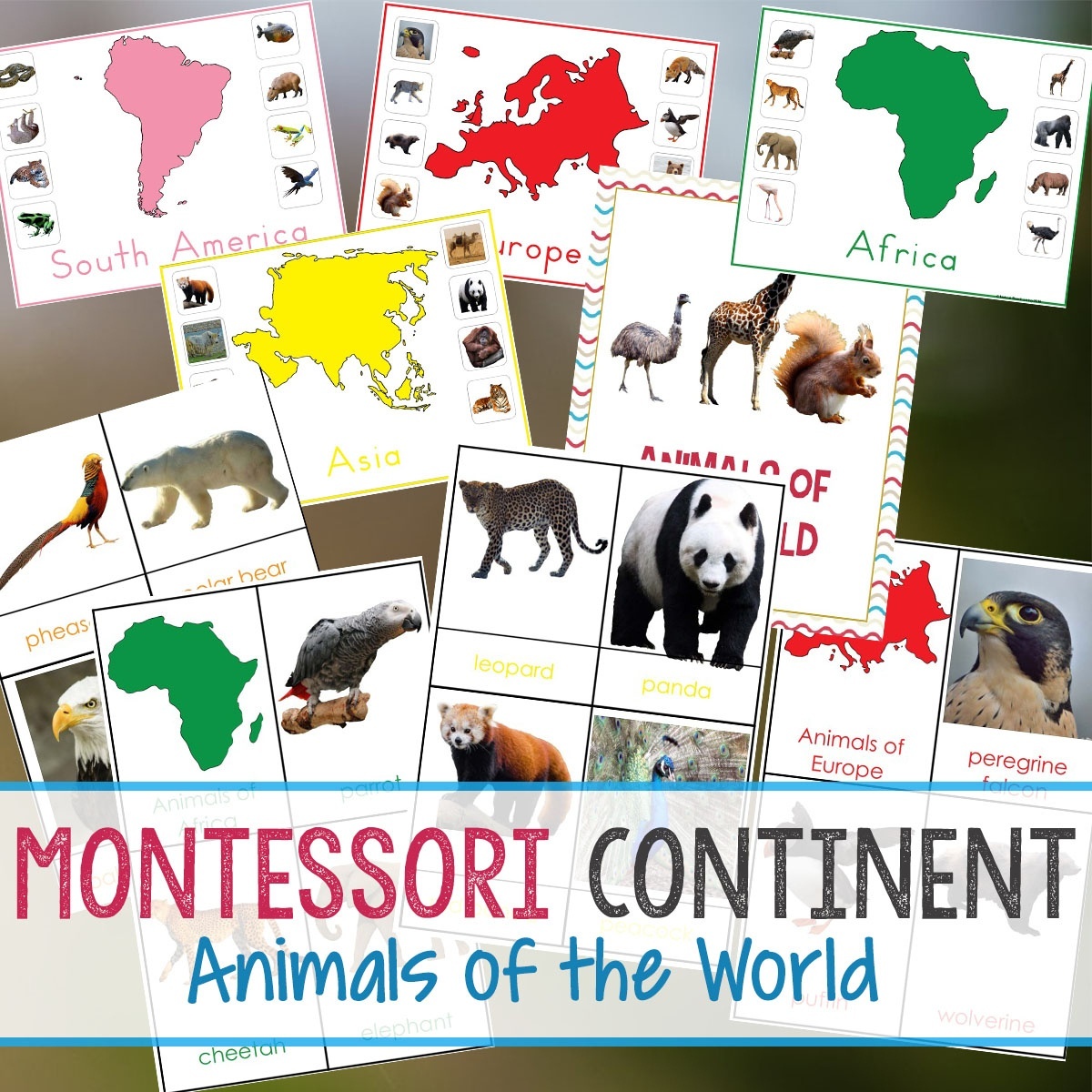 Montessori Animals And Continents Printables And Activities - Free Printable Animal Classification Cards