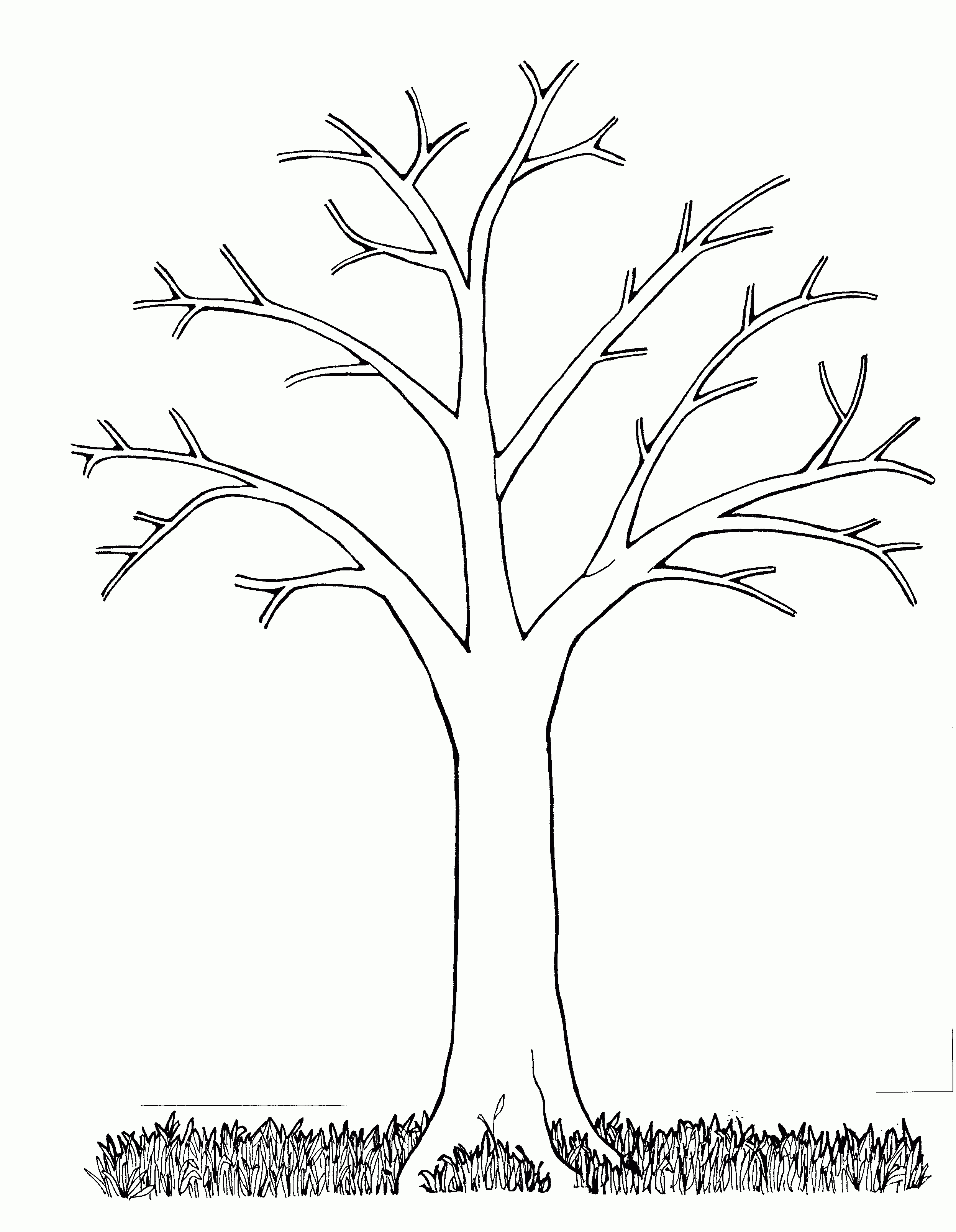 Trees Coloring Page Adult Coloring Pages Tree Lorax Trees Coloring