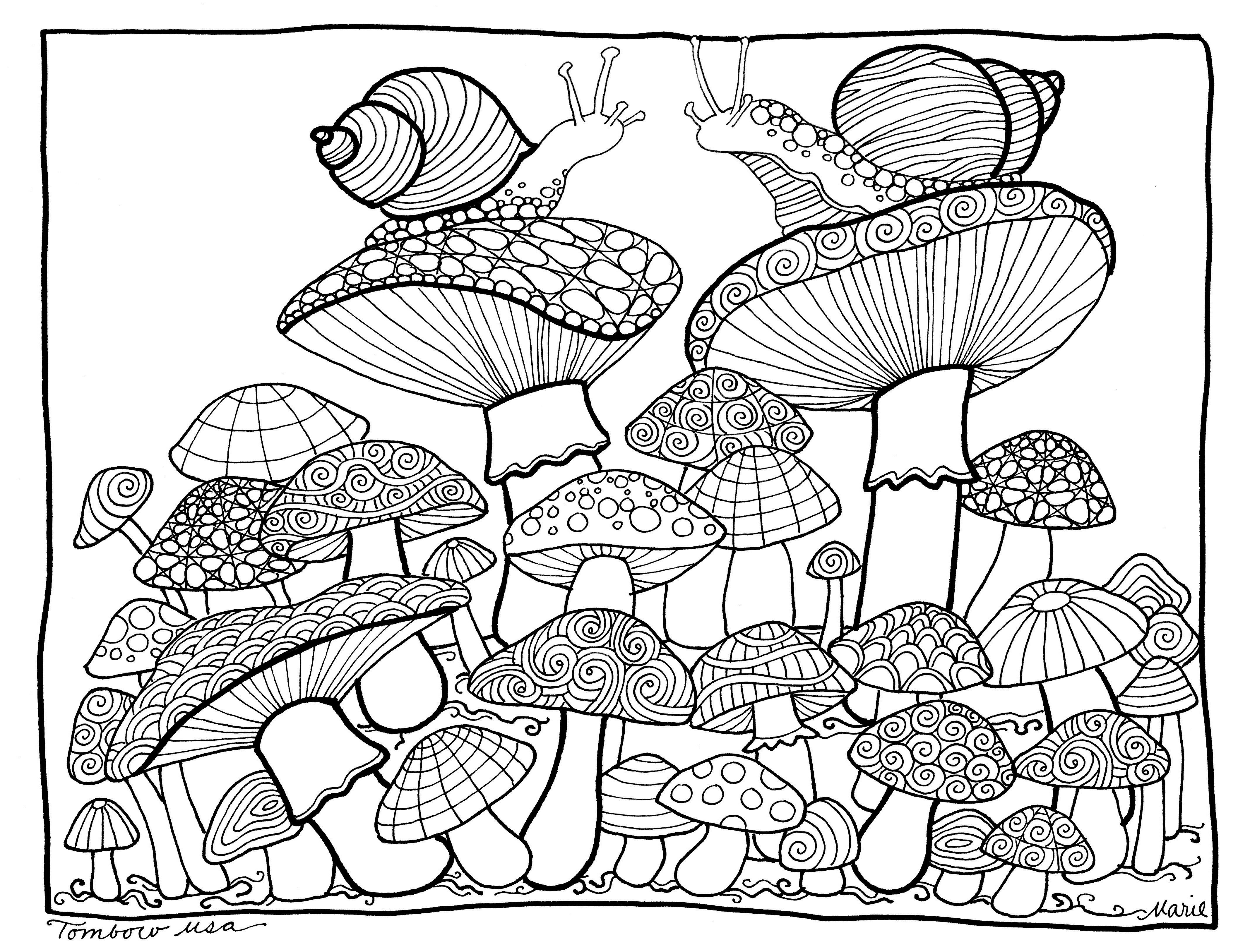 Printable Coloring Pages For Adults Mushroom