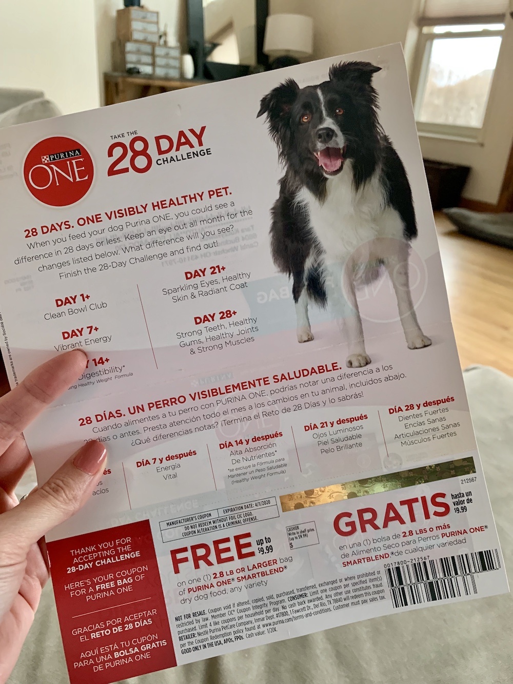 My Free Bag Of Purina One Dog Food Coupon Came Today! - Deal Seeking Mom - Free Printable Dog Food Coupons