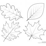 Oak Leaf Drawing Template At Paintingvalley | Explore Collection   Free Printable Oak Leaf Patterns