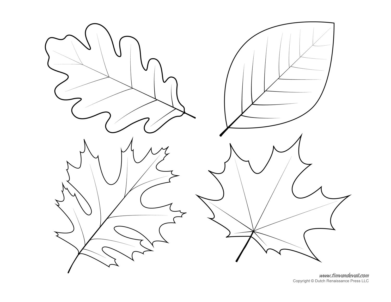 free-printable-oak-leaf-patterns-free-printable