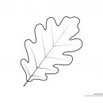 Oak Leaf Pattern. A High Resolution Version Of The Leaf Drawing Will   Free Printable Oak Leaf Patterns