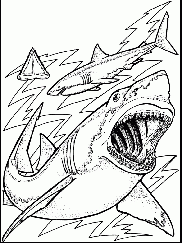 Ocean Coloring Pages | Ocean Unit | Ocean Coloring Pages, Shark - Free Printable Shark Coloring Pages