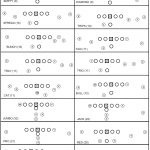 Offensive Formations With Tags   Google Search | Coaching Football   Free Printable Football Play Sheets