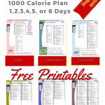 Paleo Diet: 1000 Calories Per Day   Menu Plan For Weight Loss   Free Printable Meal Plans For Weight Loss