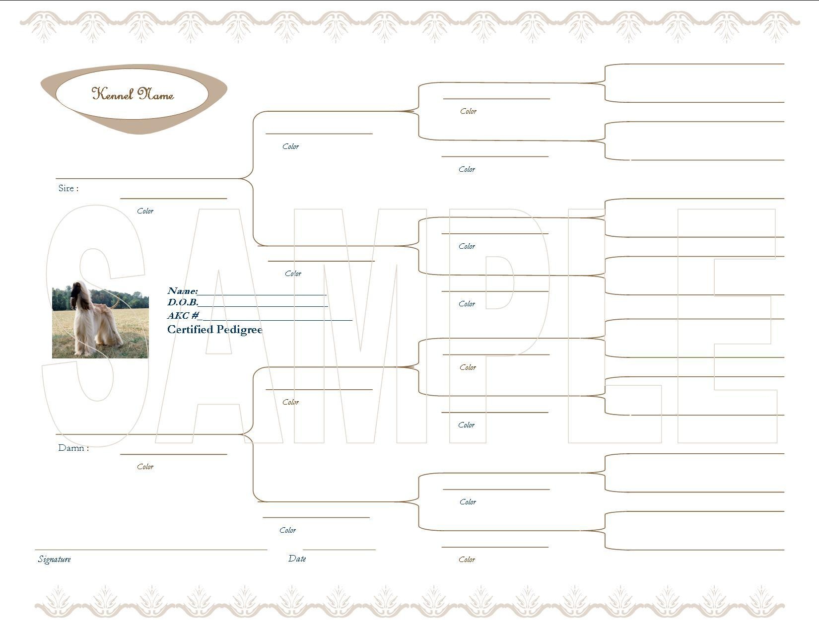 Free printable blank dog pedigree chart - nolfrm