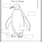 Penguin Worksheets For Preschool | Here Are Some Penguin Activities   Free Printable Penguin Books