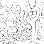 Peter Rabbit Coloring Pages To Download And Print For Free   Free Printable Peter Rabbit Coloring Pages