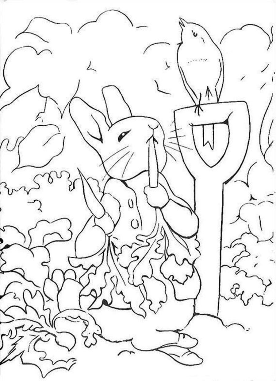 Peter Rabbit Coloring Pages To Download And Print For Free - Free Printable Peter Rabbit Coloring Pages