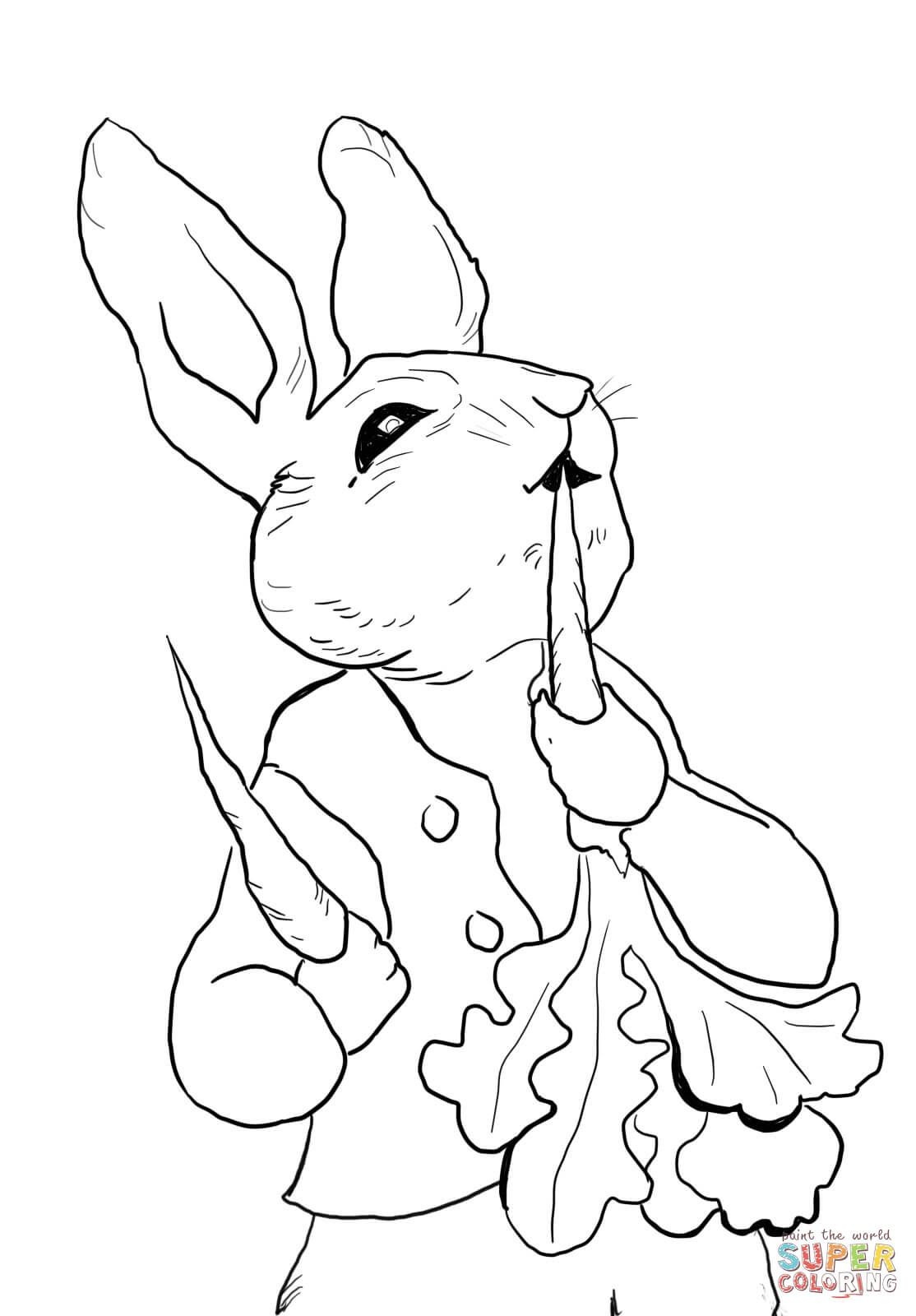 Free Printable Peter Rabbit Coloring Pages Free Printable