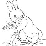 Peter Rabbit Stealing Carrots Coloring Page | Free Printable   Free Printable Peter Rabbit Coloring Pages
