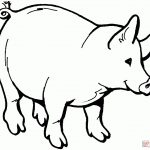 Pig Coloring Pages | Free Coloring Pages   Pig Coloring Sheets Free Printable