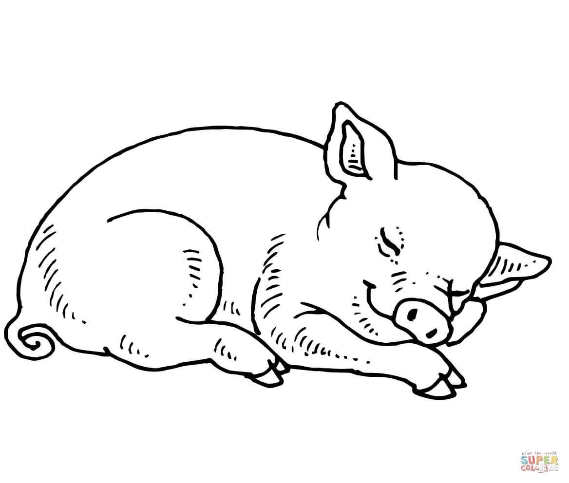 Pig Coloring Pages | Free Coloring Pages - Pig Coloring Sheets Free Printable