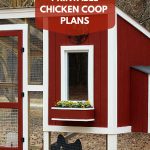 Pinhgtv On Outdoor Living Ideas | Backyard Chicken Coops   Free Printable Chicken Coop Plans