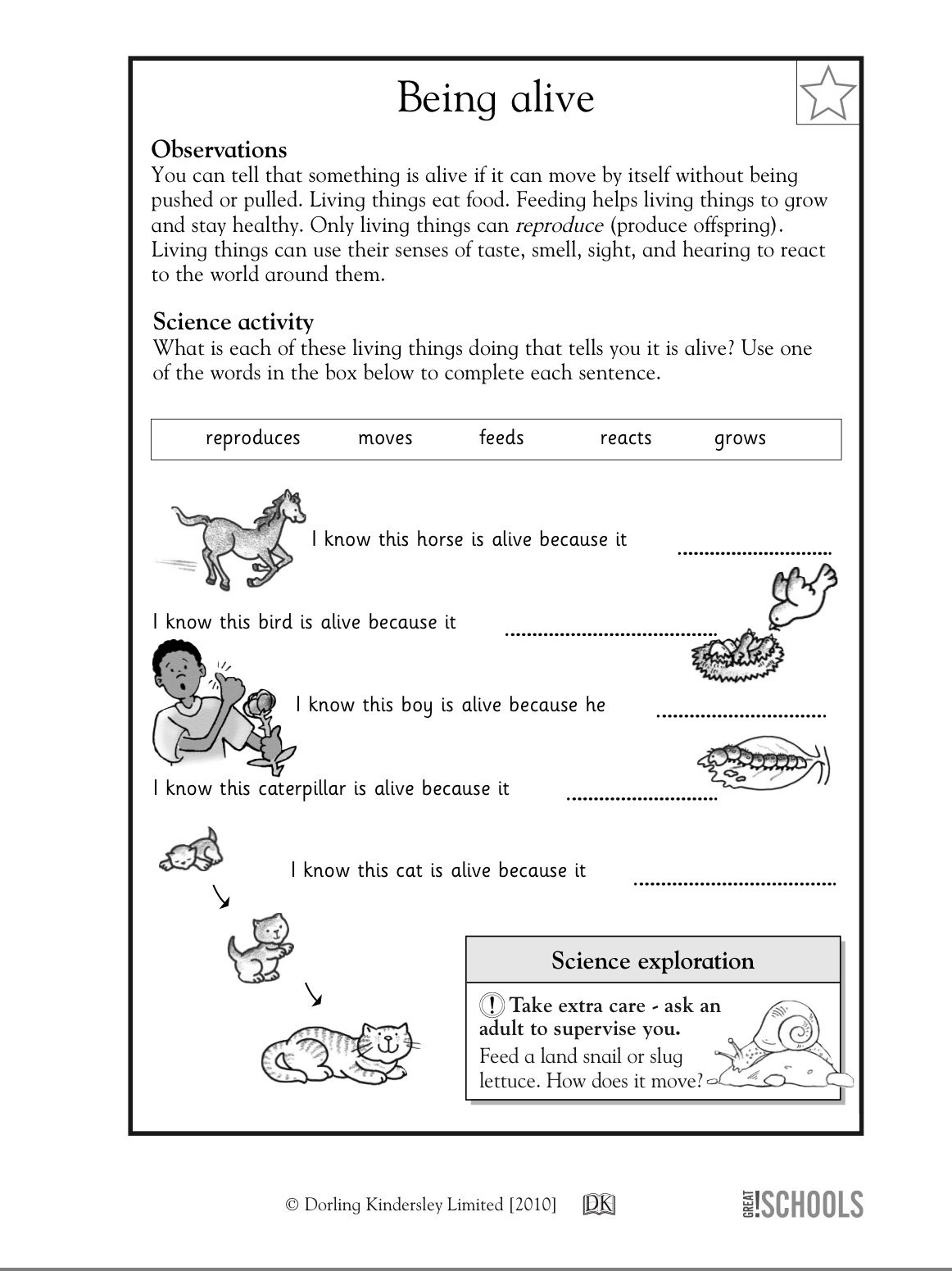 Pinlilsunflower On Coloring Pages | Science Worksheets, 2Nd - Free Printable Science Worksheets For 2Nd Grade