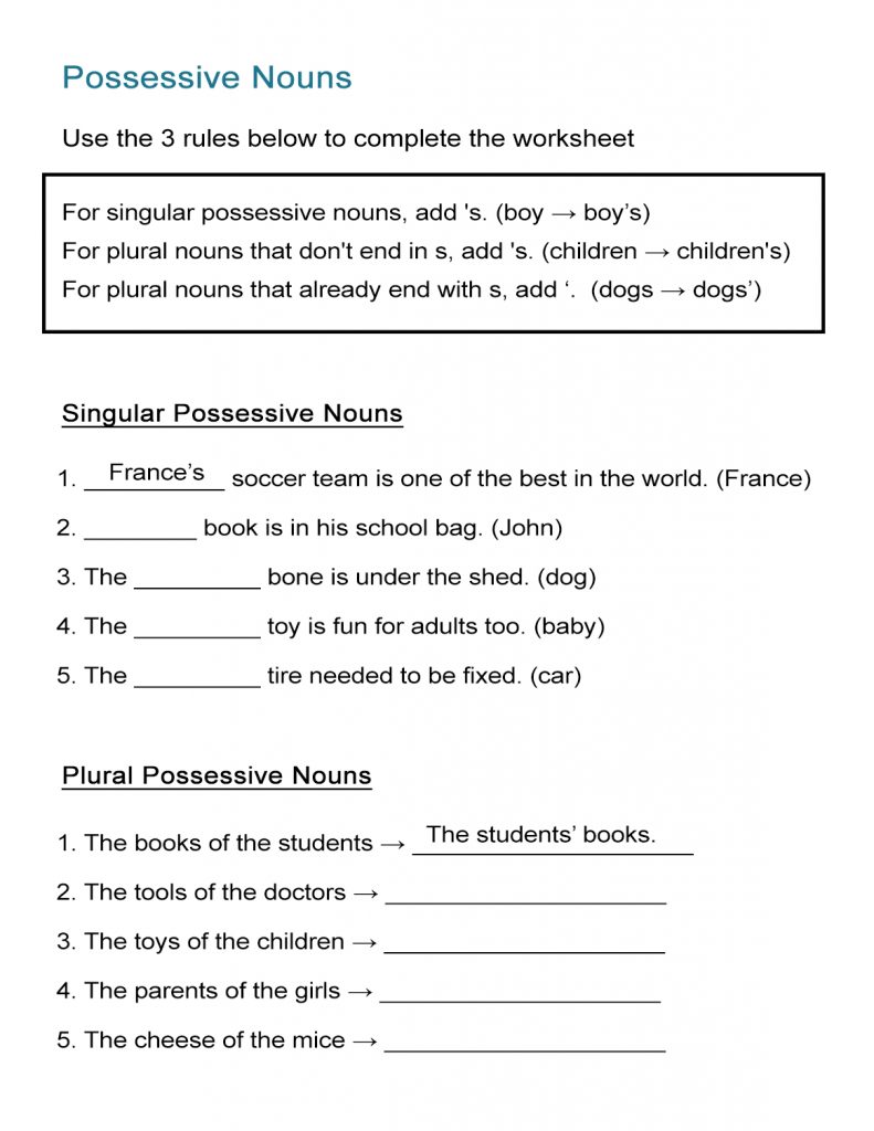 Singular Possessive Nouns Worksheet