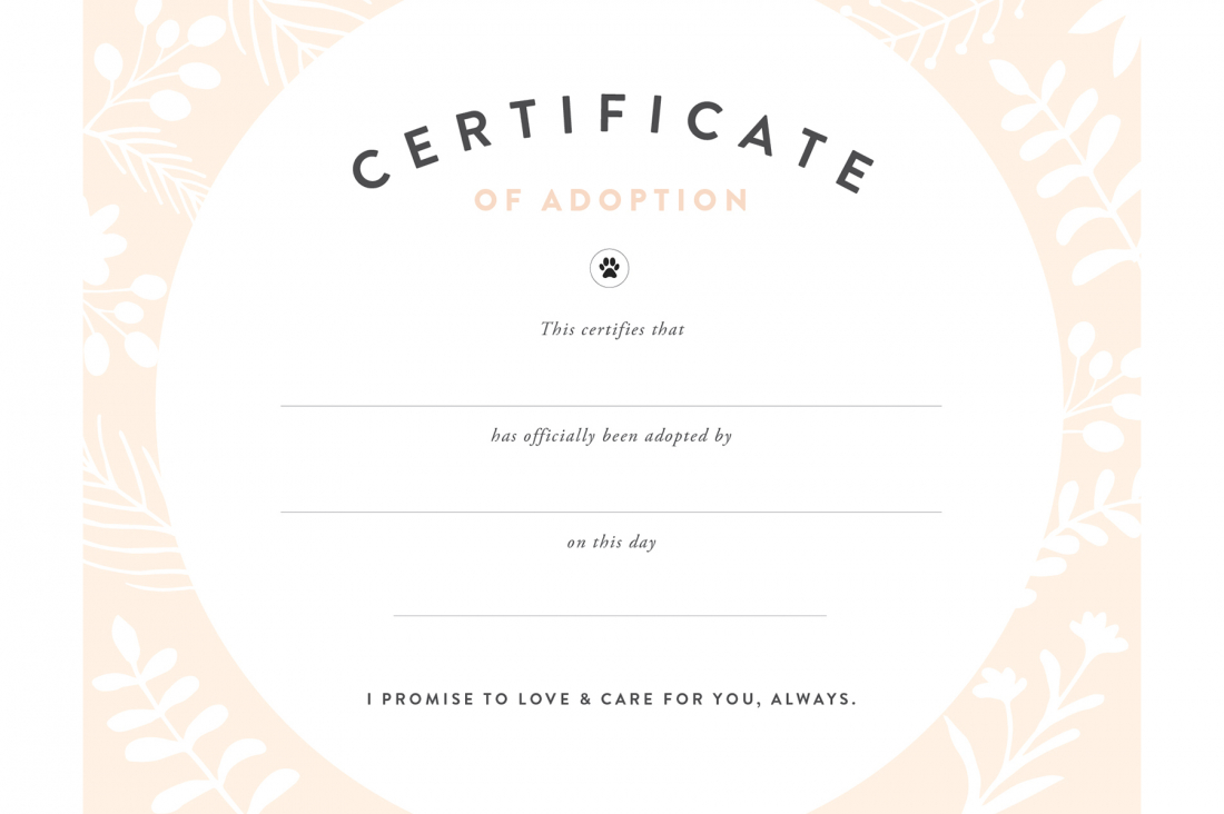 free-printable-stuffed-animal-adoption-certificate-free-printable