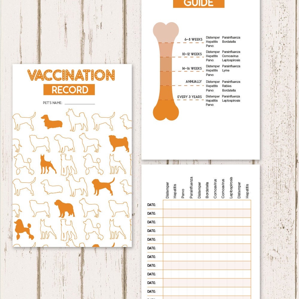 Printable Dog Vaccine Health Record Pet Care Record Book | Etsy - Free Printable Pet Health Record