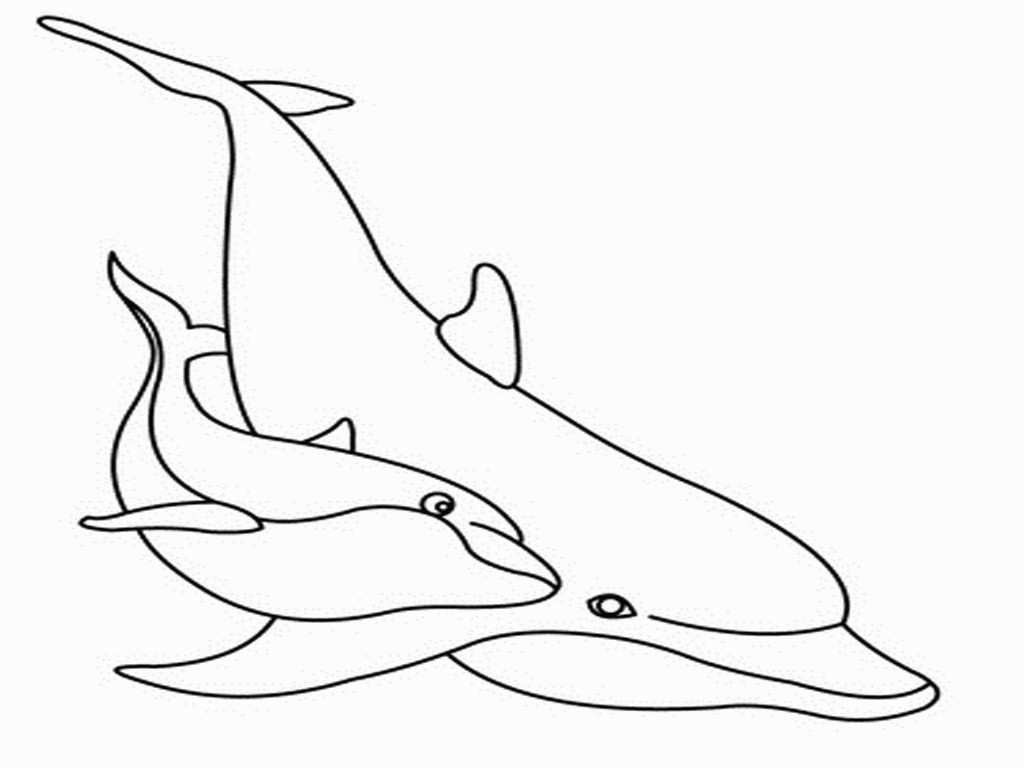 Dolphin Coloring Sheets Free Printable Free Printable