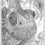 Printable Iguana Adult Coloring Pages | Realistic Coloring Pages   Free Printable Realistic Animal Coloring Pages