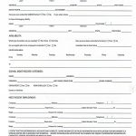 Printable Job Application Forms Online Forms, Download And Print   Free Printable Job Application Template
