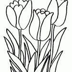 Printable Tulips Flower Coloring Pages | Watercolor | Tulip Colors   Free Printable Flower Coloring Pages